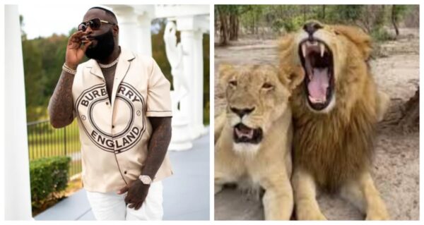 Genius Tax Hack: Rick Ross' Love Of Animals Will Help Him Escape Paying  Some Major Taxes
